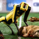 Image for article titled Boston Dynamics Dog Unstoppable At Puppy Bowl